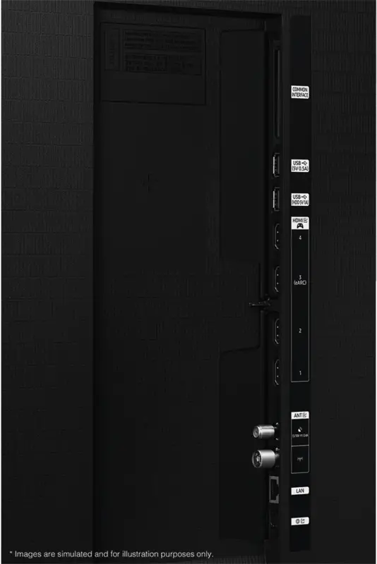 Samsung QE77S99HATXZU Ansicht 4