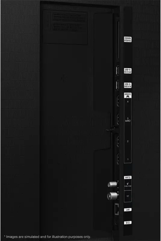 Samsung QE77S95HFTXZU Ansicht 4