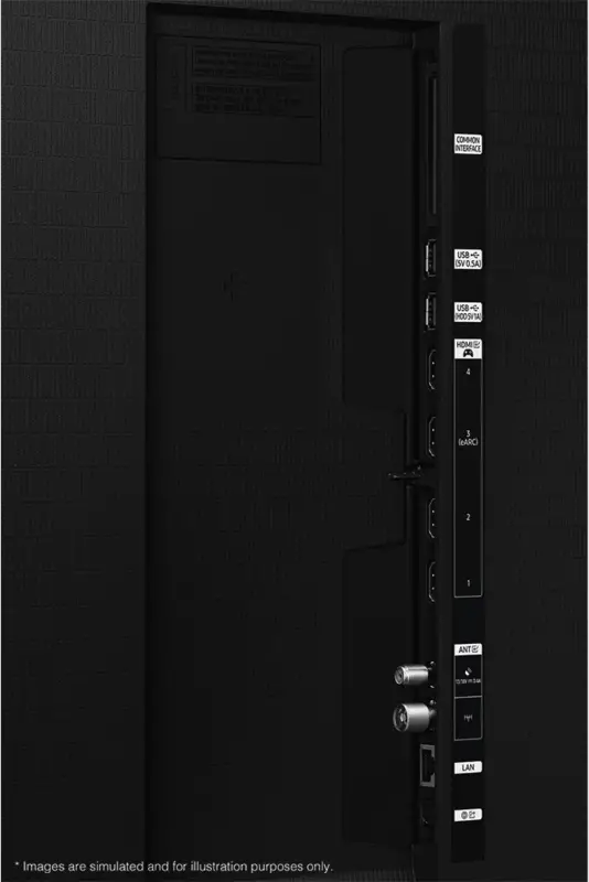 Samsung QE65S95HFTXZU Ansicht 4